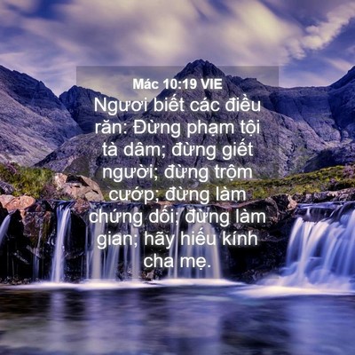 Picture 04 - Mác 10:19 VIE - Ngươi biết các điều răn: Đừng phạm - Bible Verse Picture