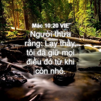 Picture 04 - Mác 10:20 VIE - Người thưa rằng: Lạy thầy, tôi đã - Bible Verse Picture