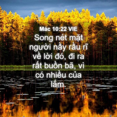 Picture 04 - Mác 10:22 VIE - Song nét mặt người nầy rầu rĩ về - Bible Verse Picture