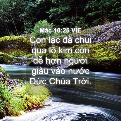 Picture 04 - Mác 10:25 VIE - Con lạc đà chui qua lỗ kim còn dễ hơn - Bible Verse Picture