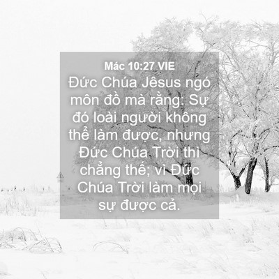 Picture 04 - Mác 10:27 VIE - Đức Chúa Jêsus ngó môn đồ mà rằng: - Bible Verse Picture