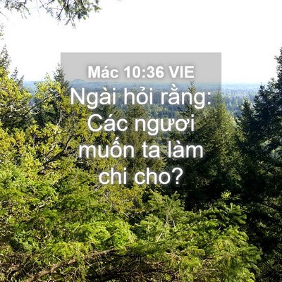 Picture 04 - Mác 10:36 VIE - Ngài hỏi rằng: Các ngươi muốn ta làm - Bible Verse Picture