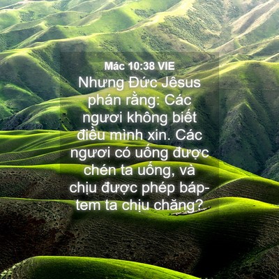 Picture 04 - Mác 10:38 VIE - Nhưng Đức Jêsus phán rằng: Các ngươi - Bible Verse Picture