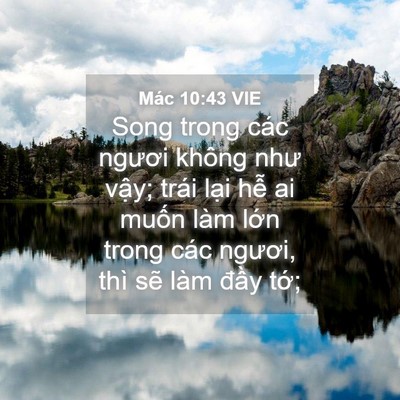 Picture 04 - Mác 10:43 VIE - Song trong các ngươi không như vậy; trái - Bible Verse Picture