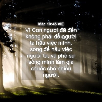 Picture 04 - Mác 10:45 VIE - Vì Con người đã đến không phải để - Bible Verse Picture
