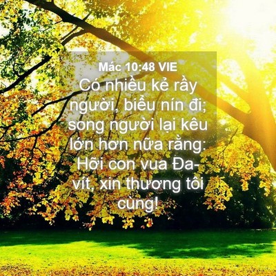 Picture 04 - Mác 10:48 VIE - Có nhiều kẻ rầy người, biểu nín đi; - Bible Verse Picture