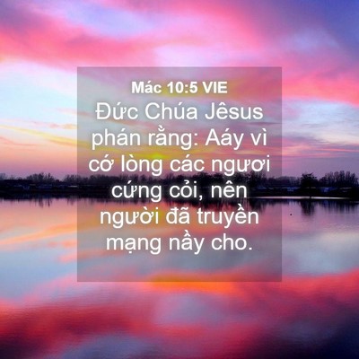 Picture 04 - Mác 10:5 VIE - Đức Chúa Jêsus phán rằng: Aáy vì cớ - Bible Verse Picture