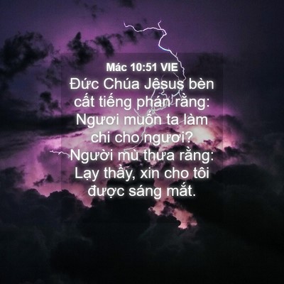 Picture 04 - Mác 10:51 VIE - Đức Chúa Jêsus bèn cất tiếng phán - Bible Verse Picture