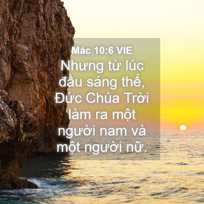 Picture 04 - Mác 10:6 VIE - Nhưng từ lúc đầu sáng thế, Đức Chúa - Bible Verse Picture