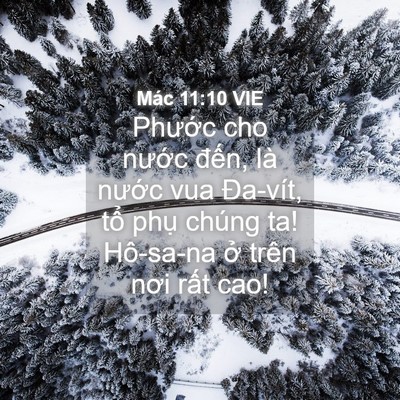 Picture 04 - Mác 11:10 VIE - Phước cho nước đến, là nước vua - Bible Verse Picture