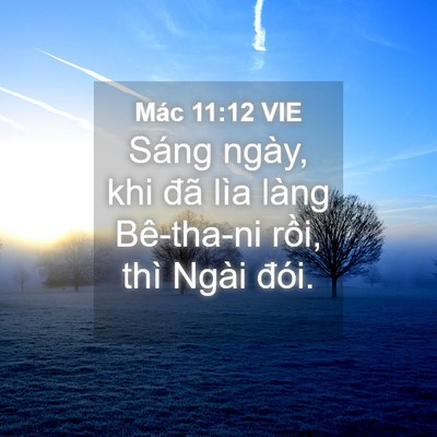 Picture 04 - Mác 11:12 VIE - Sáng ngày, khi đã lìa làng Bê-tha-ni - Bible Verse Picture