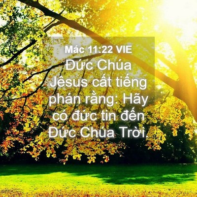 Picture 04 - Mác 11:22 VIE - Đức Chúa Jêsus cất tiếng phán rằng: - Bible Verse Picture