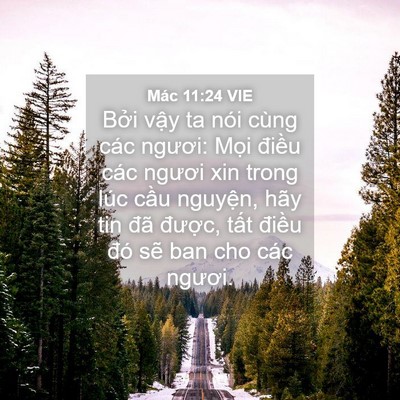 Picture 04 - Mác 11:24 VIE - Bởi vậy ta nói cùng các ngươi: Mọi - Bible Verse Picture