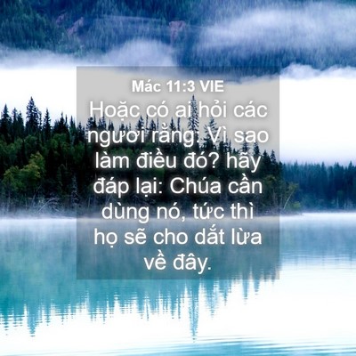 Picture 04 - Mác 11:3 VIE - Hoặc có ai hỏi các ngươi rằng: Vì sao - Bible Verse Picture