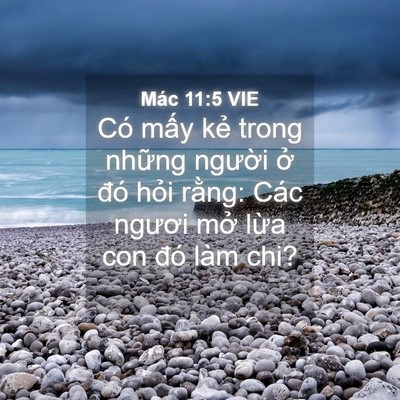 Picture 04 - Mác 11:5 VIE - Có mấy kẻ trong những người ở đó - Bible Verse Picture