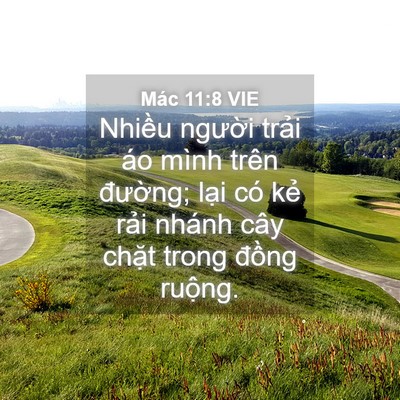 Picture 04 - Mác 11:8 VIE - Nhiều người trải áo mình trên - Bible Verse Picture