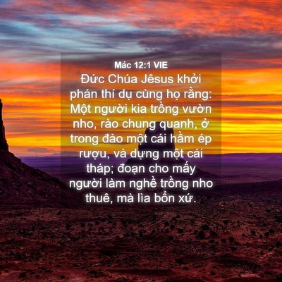Picture 04 - Mác 12:1 VIE - Đức Chúa Jêsus khởi phán thí dụ cùng - Bible Verse Picture