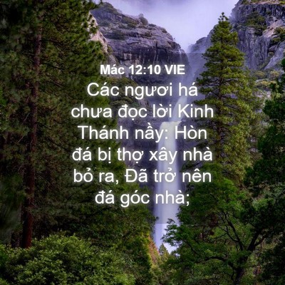Picture 04 - Mác 12:10 VIE - Các ngươi há chưa đọc lời Kinh Thánh - Bible Verse Picture