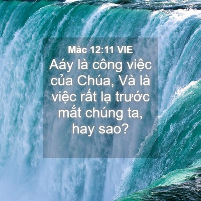Picture 04 - Mác 12:11 VIE - Aáy là công việc của Chúa, Và là việc - Bible Verse Picture