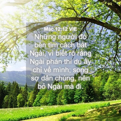 Picture 04 - Mác 12:12 VIE - Những người đó bèn tìm cách bắt - Bible Verse Picture