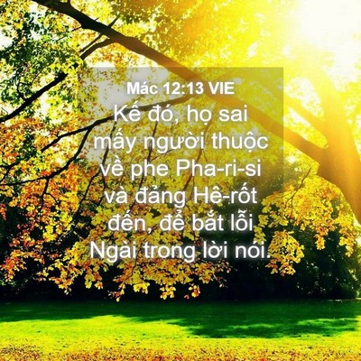 Picture 04 - Mác 12:13 VIE - Kế đó, họ sai mấy người thuộc về - Bible Verse Picture
