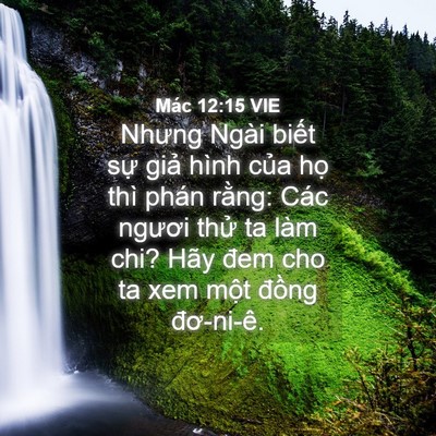 Picture 04 - Mác 12:15 VIE - Nhưng Ngài biết sự giả hình của họ - Bible Verse Picture