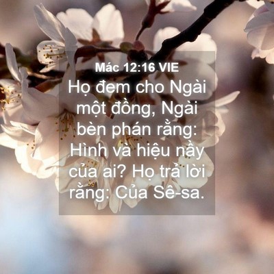 Picture 04 - Mác 12:16 VIE - Họ đem cho Ngài một đồng, Ngài bèn - Bible Verse Picture