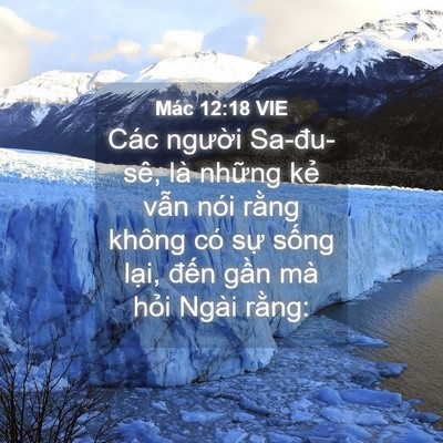 Picture 04 - Mác 12:18 VIE - Các người Sa-đu-sê, là những kẻ vẫn - Bible Verse Picture
