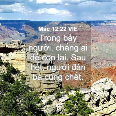 Picture 04 - Mác 12:22 VIE - Trong bảy người, chẳng ai để con lại. - Bible Verse Picture