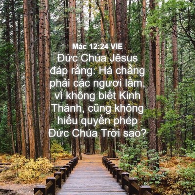 Picture 04 - Mác 12:24 VIE - Đức Chúa Jêsus đáp rằng: Há chẳng - Bible Verse Picture