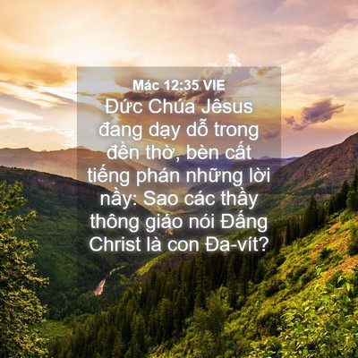 Picture 04 - Mác 12:35 VIE - Đức Chúa Jêsus đang dạy dỗ trong đền - Bible Verse Picture