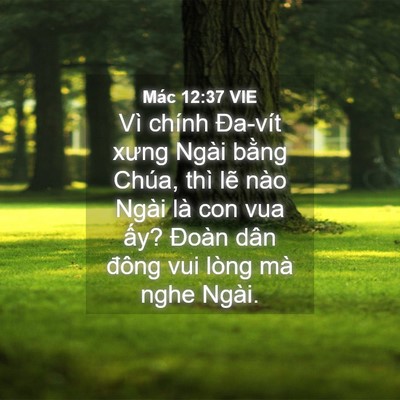 Picture 04 - Mác 12:37 VIE - Vì chính Đa-vít xưng Ngài bằng Chúa, - Bible Verse Picture