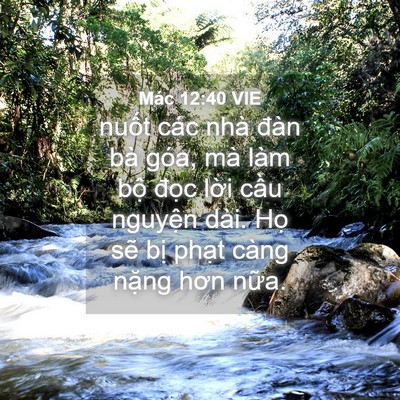 Picture 04 - Mác 12:40 VIE - nuốt các nhà đàn bà góa, mà làm bộ - Bible Verse Picture