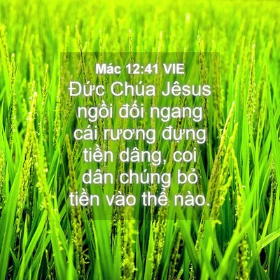 Picture 04 - Mác 12:41 VIE - Đức Chúa Jêsus ngồi đối ngang cái - Bible Verse Picture