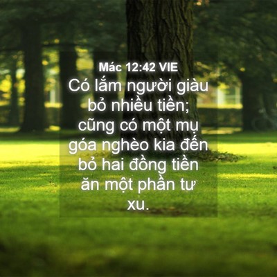 Picture 04 - Mác 12:42 VIE - Có lắm người giàu bỏ nhiều tiền; - Bible Verse Picture