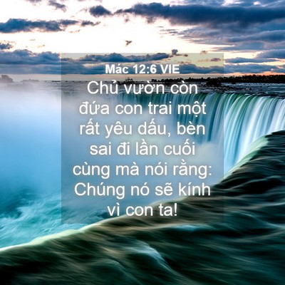 Picture 04 - Mác 12:6 VIE - Chủ vườn còn đứa con trai một rất - Bible Verse Picture