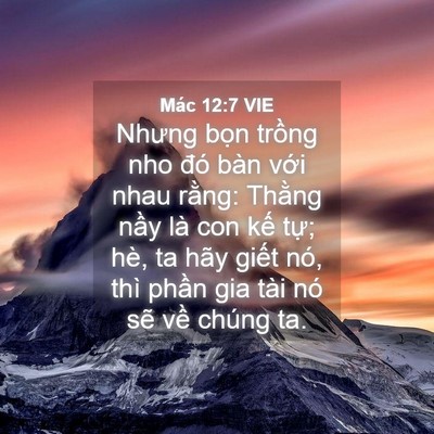 Picture 04 - Mác 12:7 VIE - Nhưng bọn trồng nho đó bàn với nhau - Bible Verse Picture