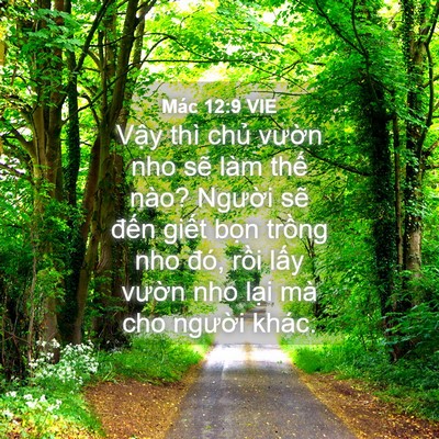 Picture 04 - Mác 12:9 VIE - Vậy thì chủ vườn nho sẽ làm thế - Bible Verse Picture