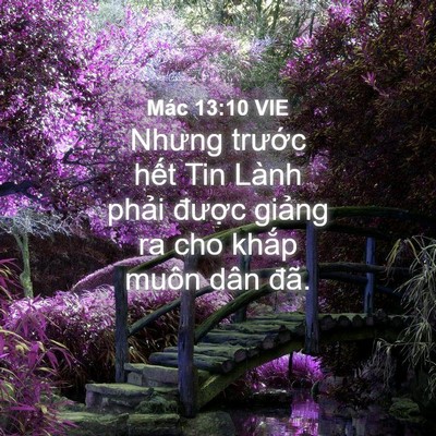 Picture 04 - Mác 13:10 VIE - Nhưng trước hết Tin Lành phải được - Bible Verse Picture
