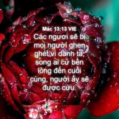 Picture 04 - Mác 13:13 VIE - Các ngươi sẽ bị mọi người ghen ghét - Bible Verse Picture