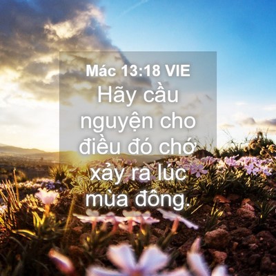 Picture 04 - Mác 13:18 VIE - Hãy cầu nguyện cho điều đó chớ xảy - Bible Verse Picture