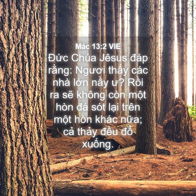 Picture 04 - Mác 13:2 VIE - Đức Chúa Jêsus đáp rằng: Ngươi thấy - Bible Verse Picture