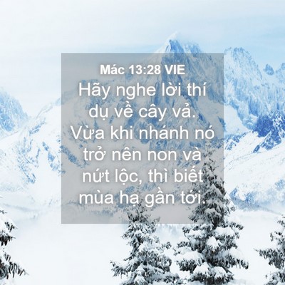 Picture 04 - Mác 13:28 VIE - Hãy nghe lời thí dụ về cây vả. Vừa - Bible Verse Picture