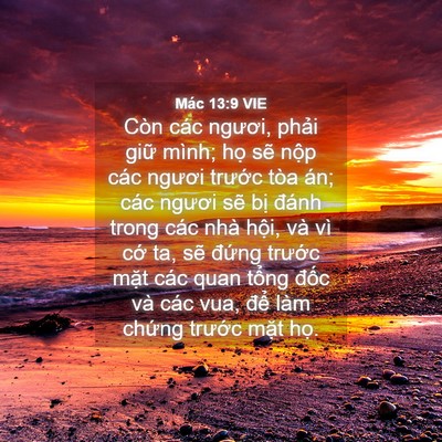 Picture 04 - Mác 13:9 VIE - Còn các ngươi, phải giữ mình; họ sẽ - Bible Verse Picture