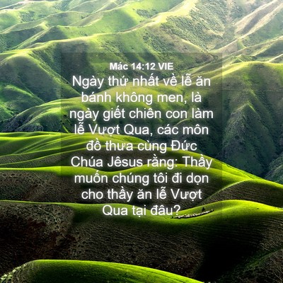 Picture 04 - Mác 14:12 VIE - Ngày thứ nhất về lễ ăn bánh không - Bible Verse Picture