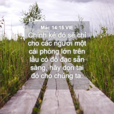 Picture 04 - Mác 14:15 VIE - Chính kẻ đó sẽ chỉ cho các ngươi - Bible Verse Picture