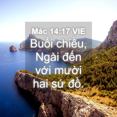 Picture 04 - Mác 14:17 VIE - Buổi chiều, Ngài đến với mười hai - Bible Verse Picture