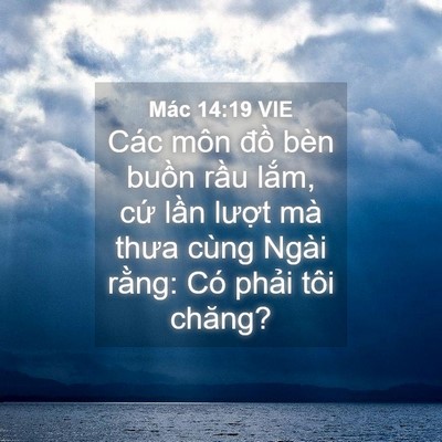 Picture 04 - Mác 14:19 VIE - Các môn đồ bèn buồn rầu lắm, cứ - Bible Verse Picture