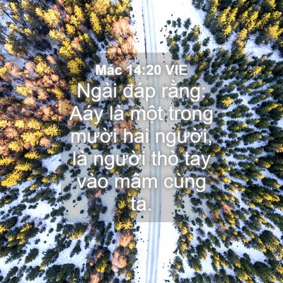 Picture 04 - Mác 14:20 VIE - Ngài đáp rằng: Aáy là một trong mười - Bible Verse Picture