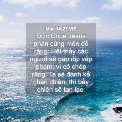 Picture 04 - Mác 14:27 VIE - Đức Chúa Jêsus phán cùng môn đồ - Bible Verse Picture